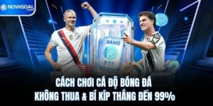 Cách Chơi Cá Độ Bóng Đá Không Thua & Bí Kíp Thắng Đến 99% 7 cach choi ca do bong da khong thua bi kip thang den 99